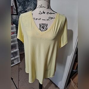 Vneck Workout Shirt